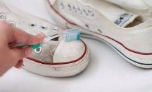 5 Best Shoe Cleaners – Reviews and Buying Guide