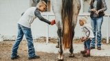 Buying Boys Cowboy Boots